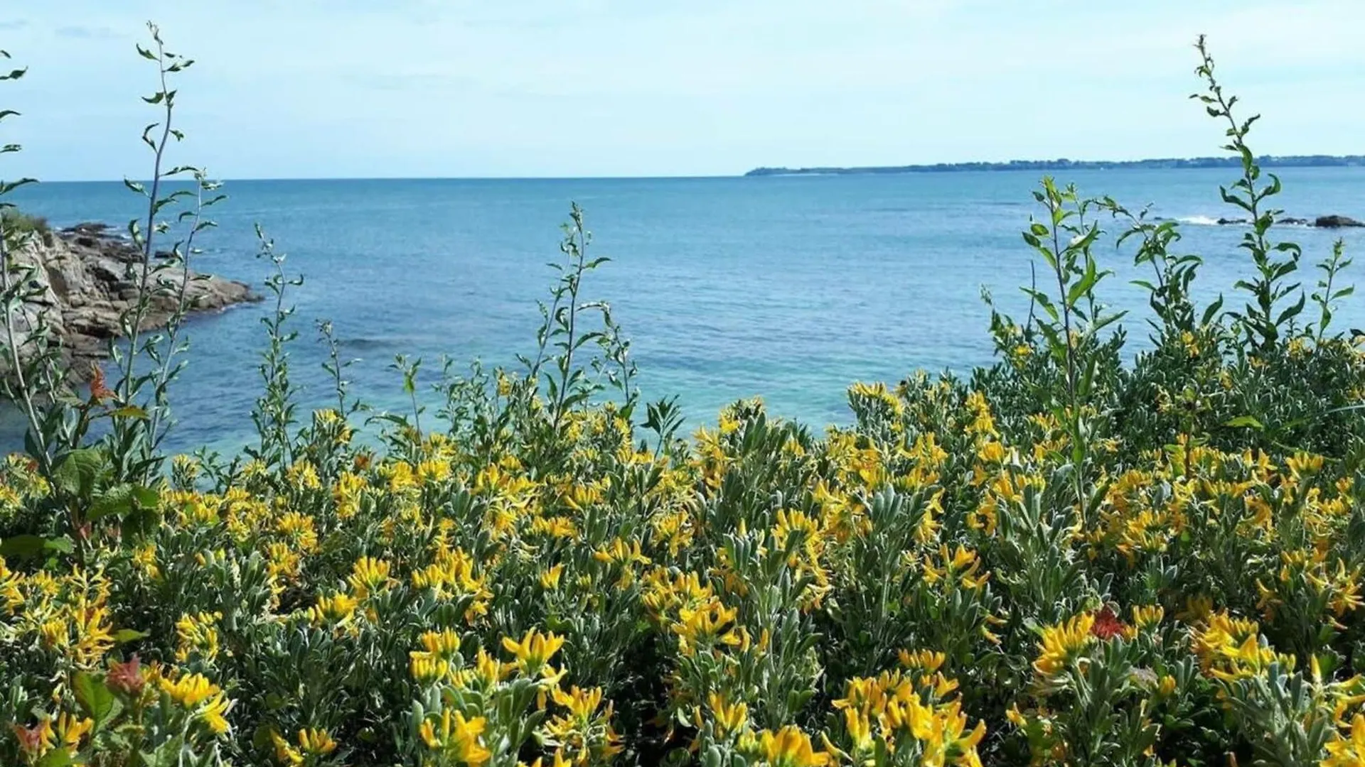 Apartment Charmant T2 A 50M De L'Ocean Ploemeur